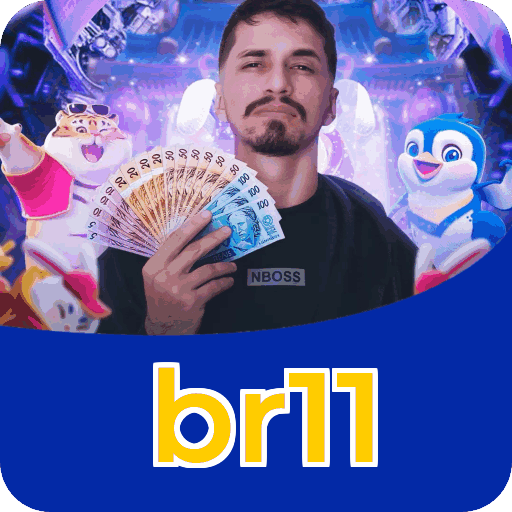 Interface br11